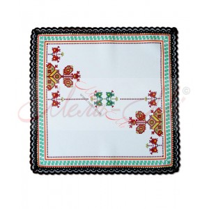 Cloth with embroidery