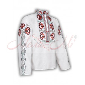 Traditional embroidered  shirt