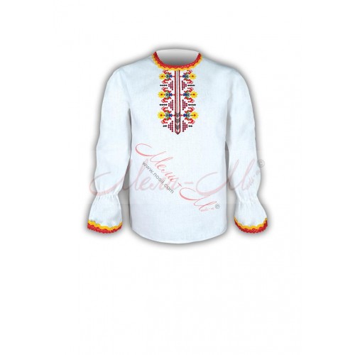 Women's embroidered long shirt