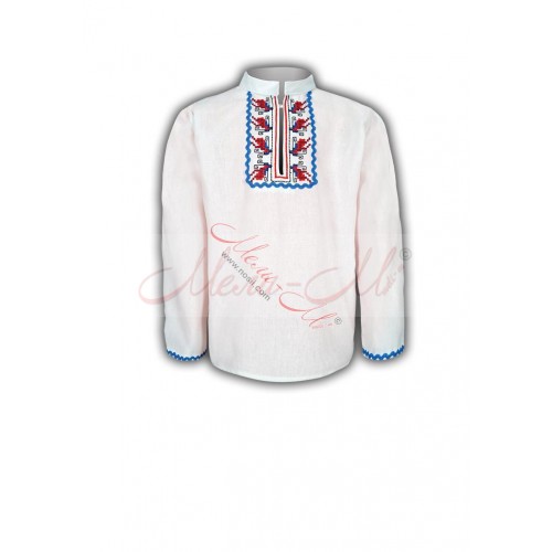 Women's embroidered long shirt