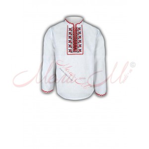 Women's embroidered long shirt