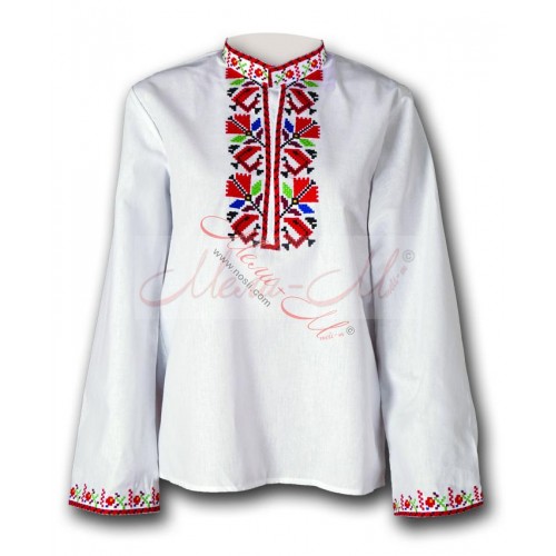 Traditional embroidered  shirt