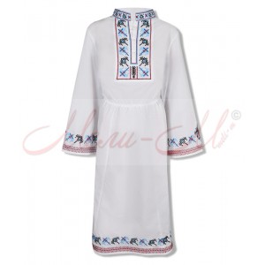 Women's embroidered long shirt