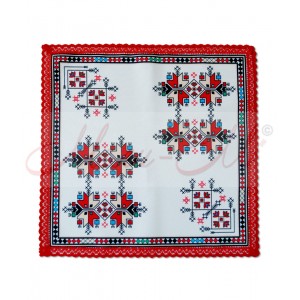 Cloth with embroidery