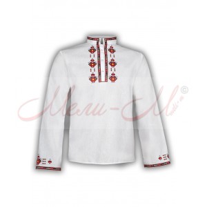 Traditional embroidered  shirt