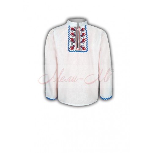 Women's embroidered long shirt