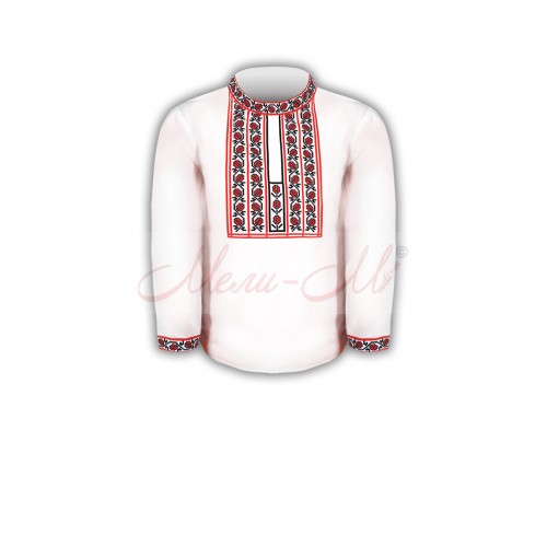 Women's embroidered long shirt