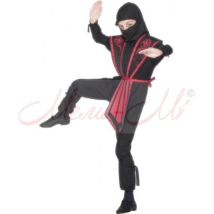 Ninja costume