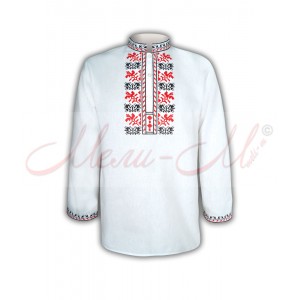 Traditional embroidered  shirt