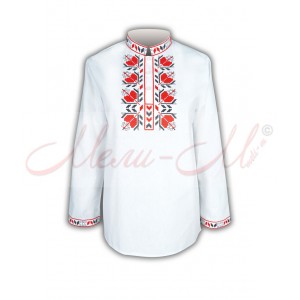 Traditional embroidered  shirt