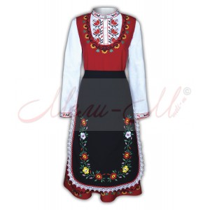 Traditional Embroidered Women's Folklore costume