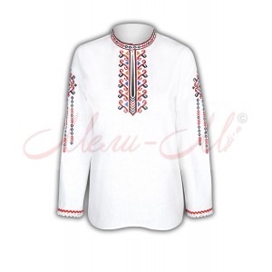 Women's embroidered long shirt