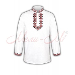 Traditional embroidered  shirt