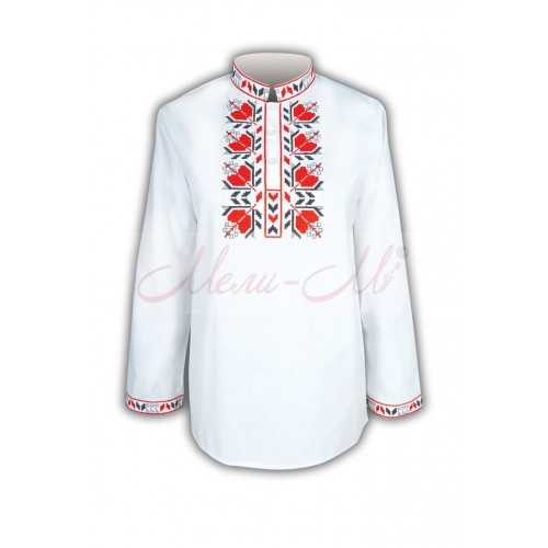 Traditional embroidered  shirt