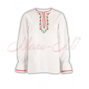 Women's embroidered long shirt