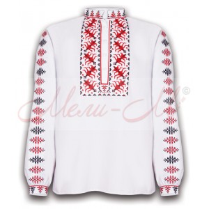 Traditional embroidered  shirt