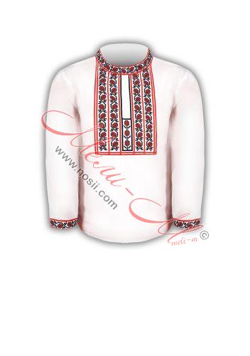 Women's embroidered long shirt