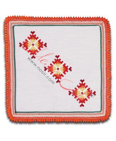 Cloth with embroidery